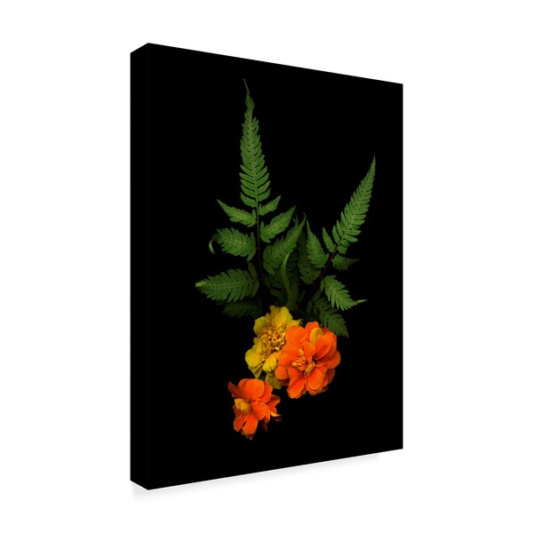 Susan S. Barmon 'Ferns And Marigolds' Canvas Art,35x47